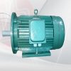 Động Cơ Điện VIHEM Mặt Bích - Chân Đế