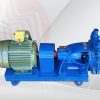 Bơm chân không BCK VACUUM PUMPS