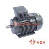 Động Cơ Điện TECO 3 Pha