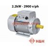 Động cơ điện Toàn Phát 2.2Kw - 2900 Vòng/phút