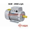 Động cơ điện Toàn Phát 3.0Kw - 2900 Vòng/phút